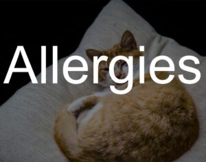 Pillow causes allergies