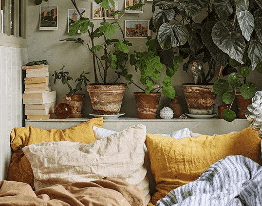 Use plants to decorate a bookcase bed space