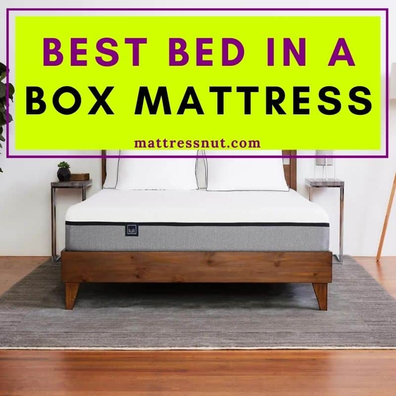 Best bed in a box mattresses 2024, are they worth buying