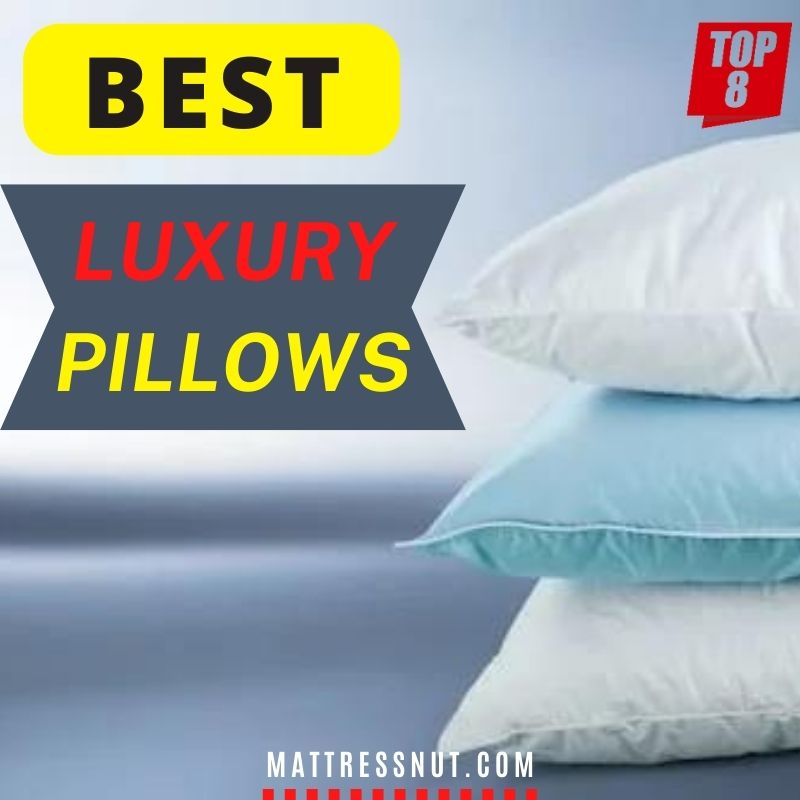 Best luxury pillows, 8 top rated & highend models we love in 2023