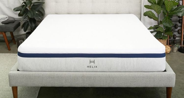 differences between helix purple and leesa mattresses
