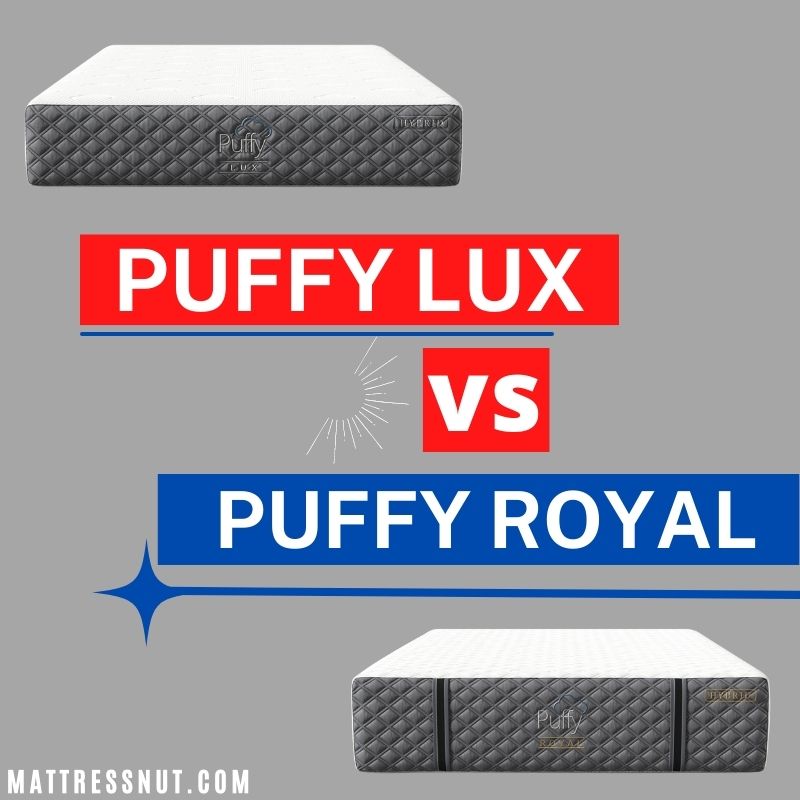 Puffy lux vs Puffy royal