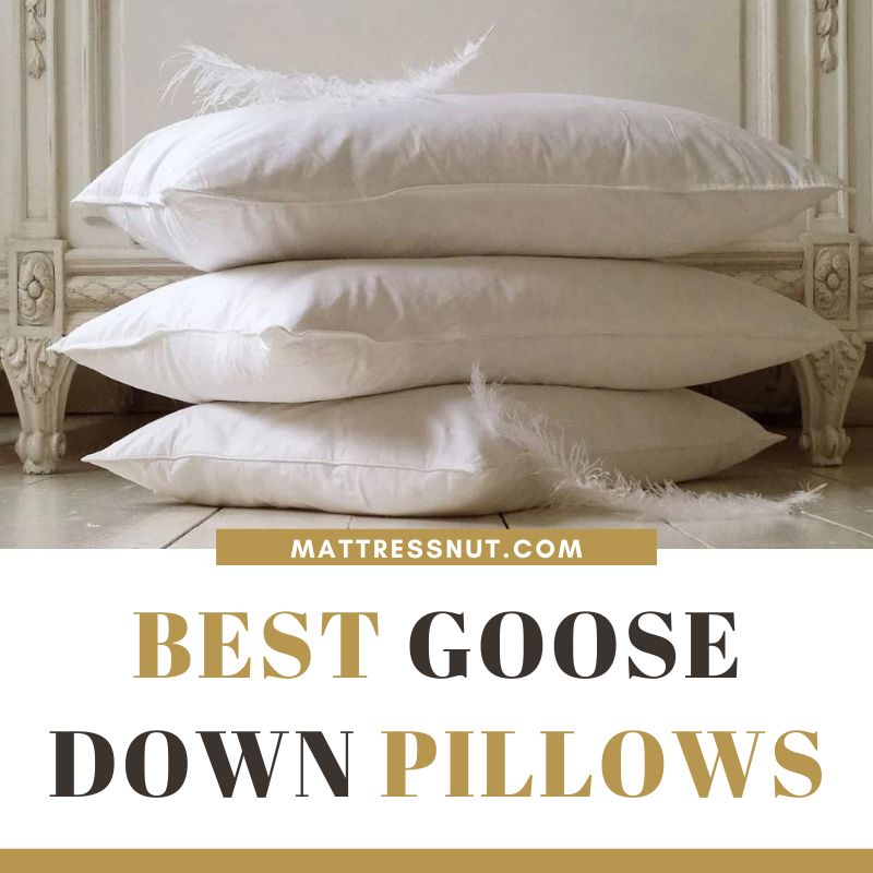 travel pillow goose down