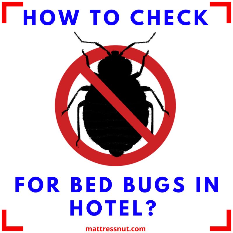 how to check for bed bugs in hotel