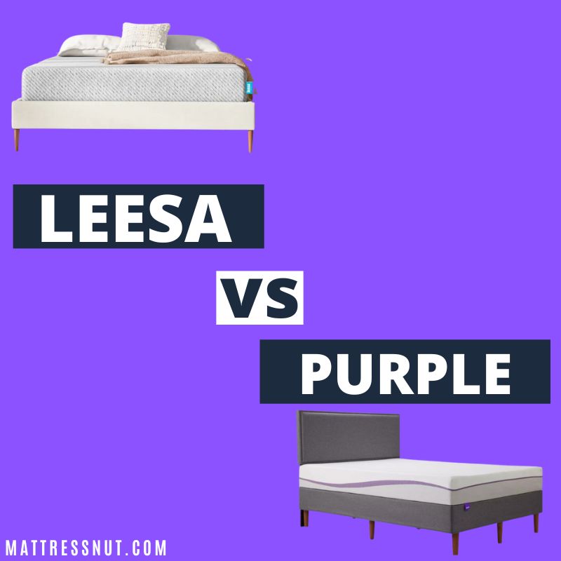 leesa vs purple