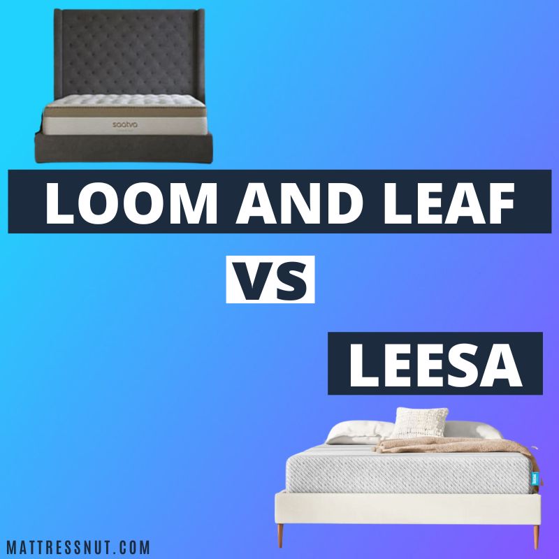 loom and leaf versus leesa