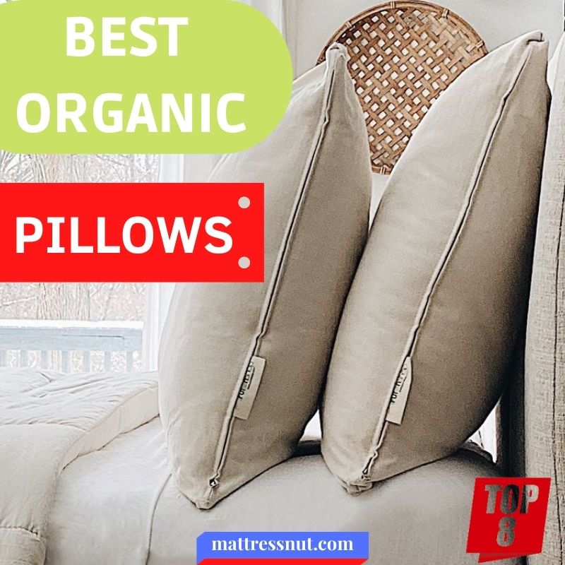 Best organic pillows