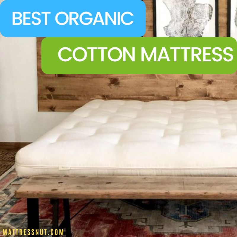 best organic cotton mattress