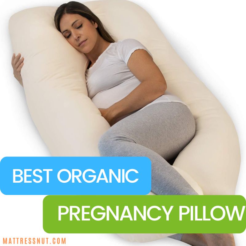 best organic pregnancy pillow