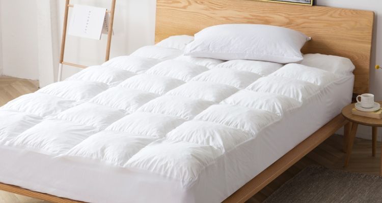 difference between mattress pad and protector