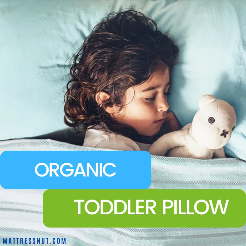 organic toddler pillow