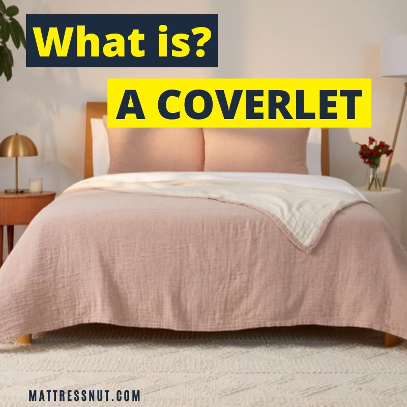 what is a coverlet