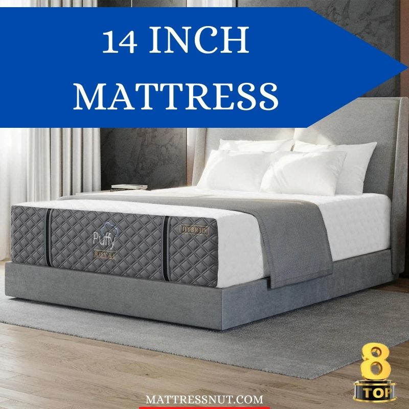 14 Inch mattress, 8 best options with this thickness in 2023