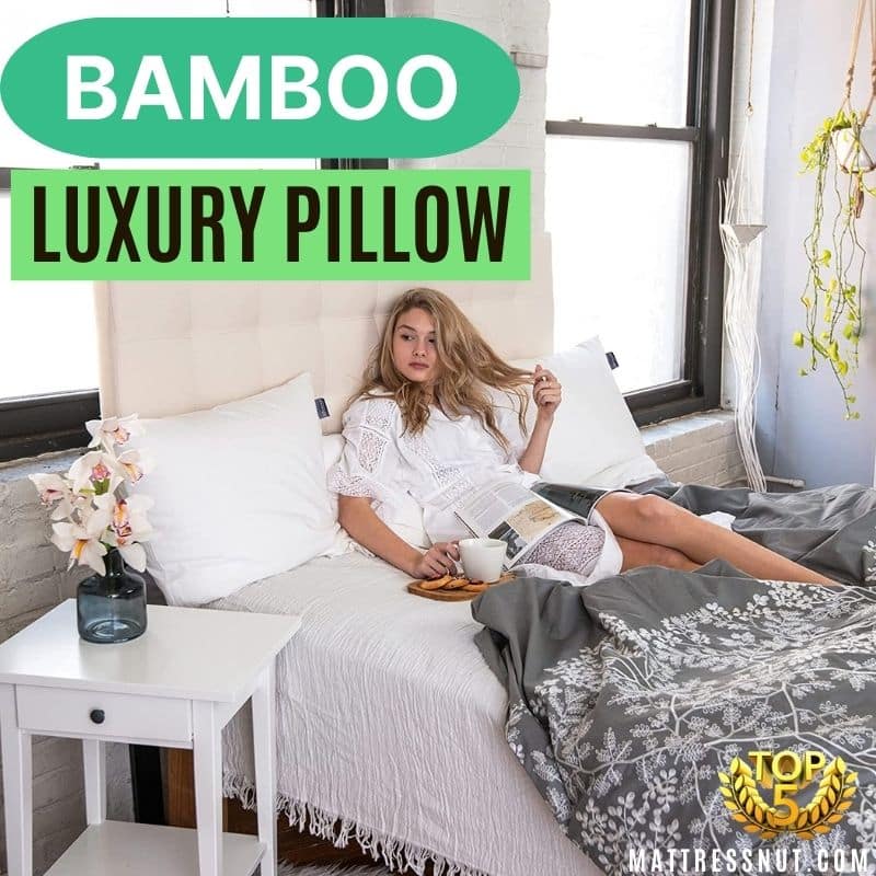 Bamboo luxury pillow