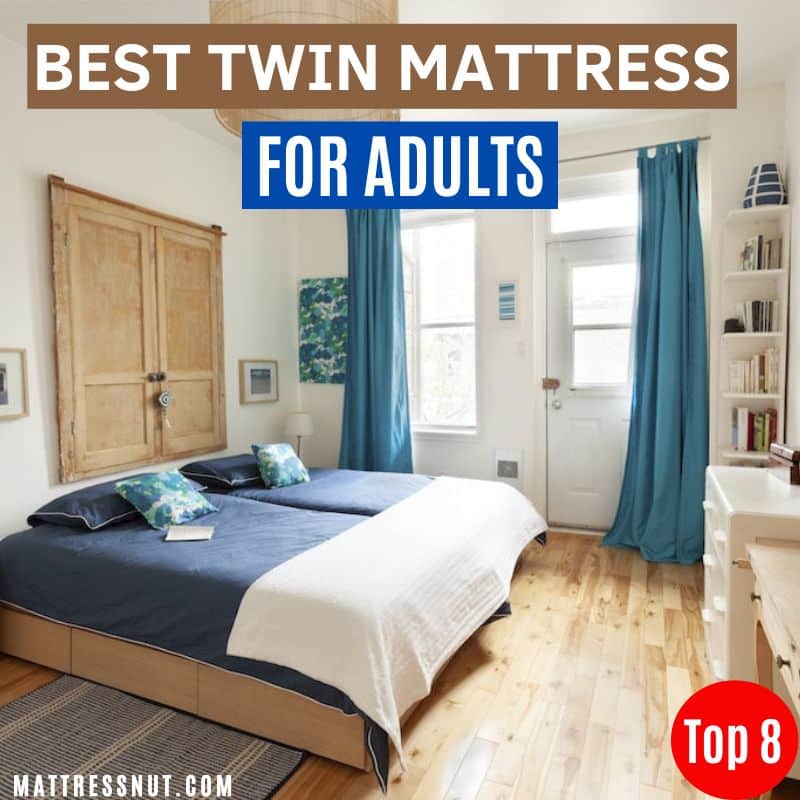 Best Twin mattress for adults