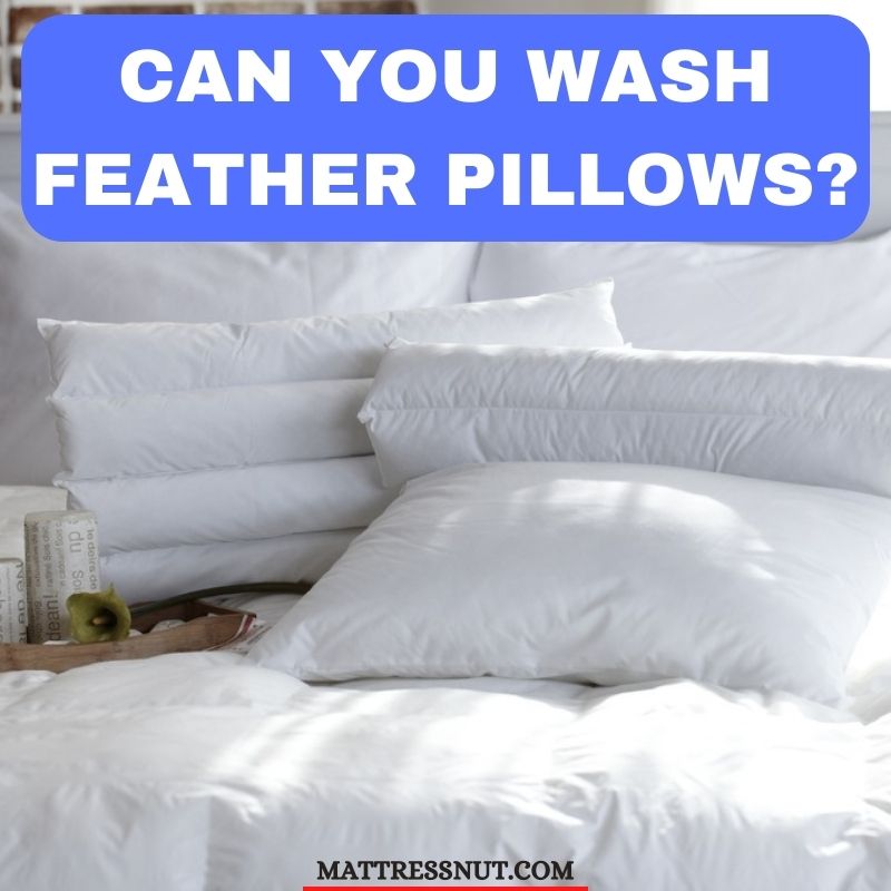 Can you wash feather pillows? Find out how to wash them (Howto Guide)