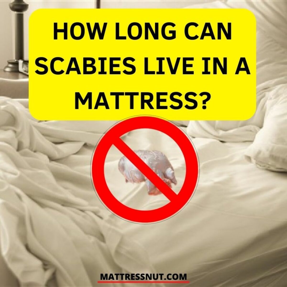 How to Get Rid of Scabies From Mattress - Amerisleep