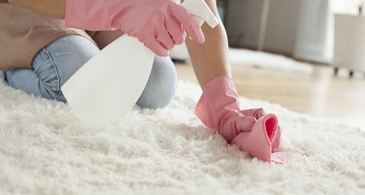 How to Clean a Mattress with Carpet Cleaner