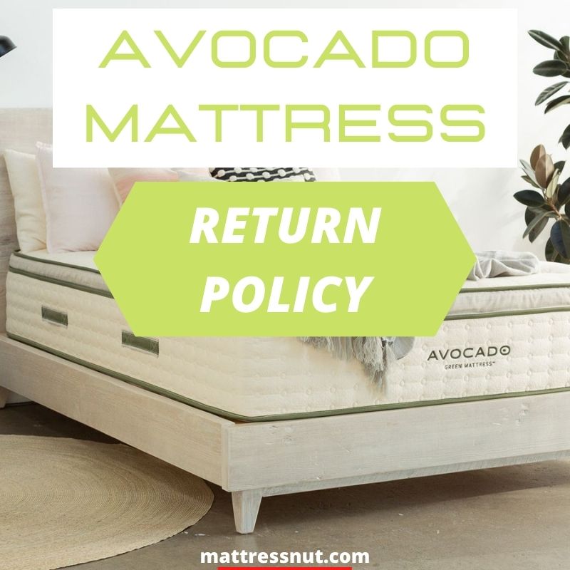 Avocado mattress return policy