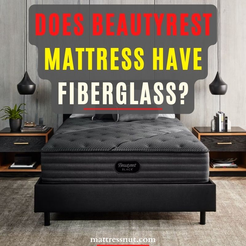 Does Beautyrest Mattress have Fiberglass? Our Investigation