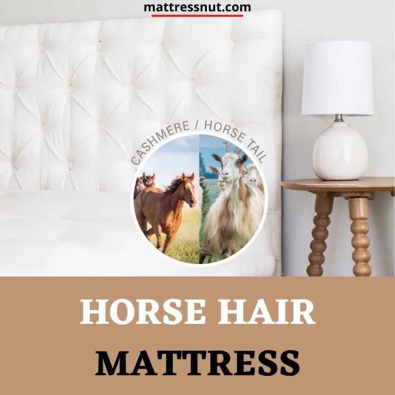 Horse hair mattress