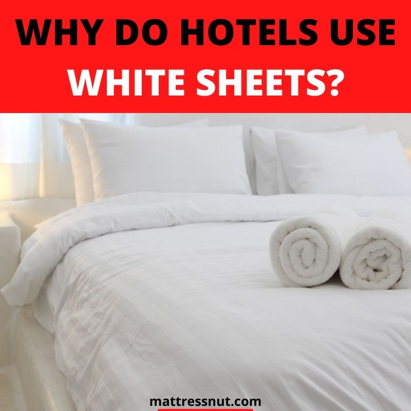 Why do hotels use white sheets