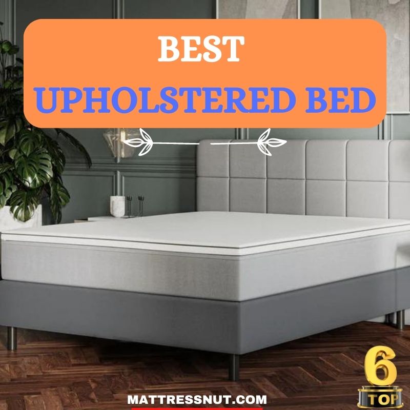 Best Upholstered bed