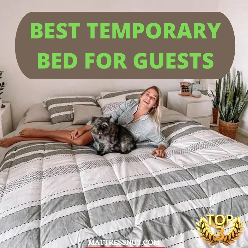 Best Temporary Bed for Guests, find out the most comfy options