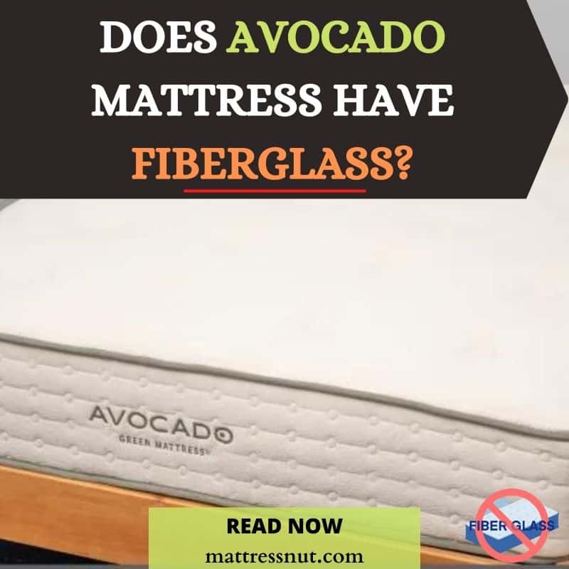 Does Avocado mattress have fiberglass