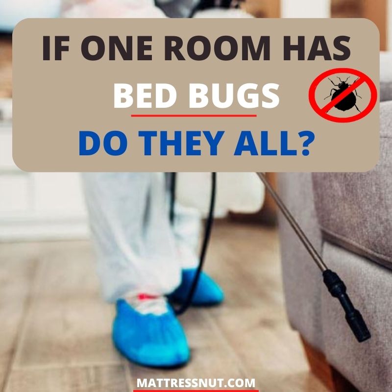 If one room has bed bugs do they all