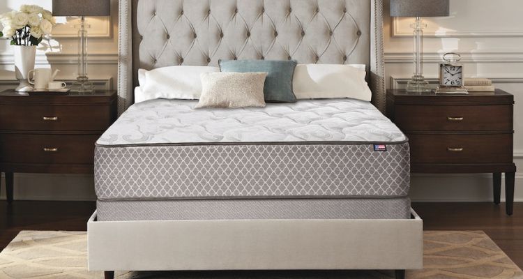 Therapedic Mattress Reviews