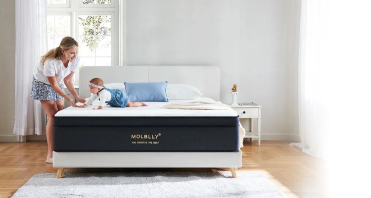 molblly hybrid mattress reviews
