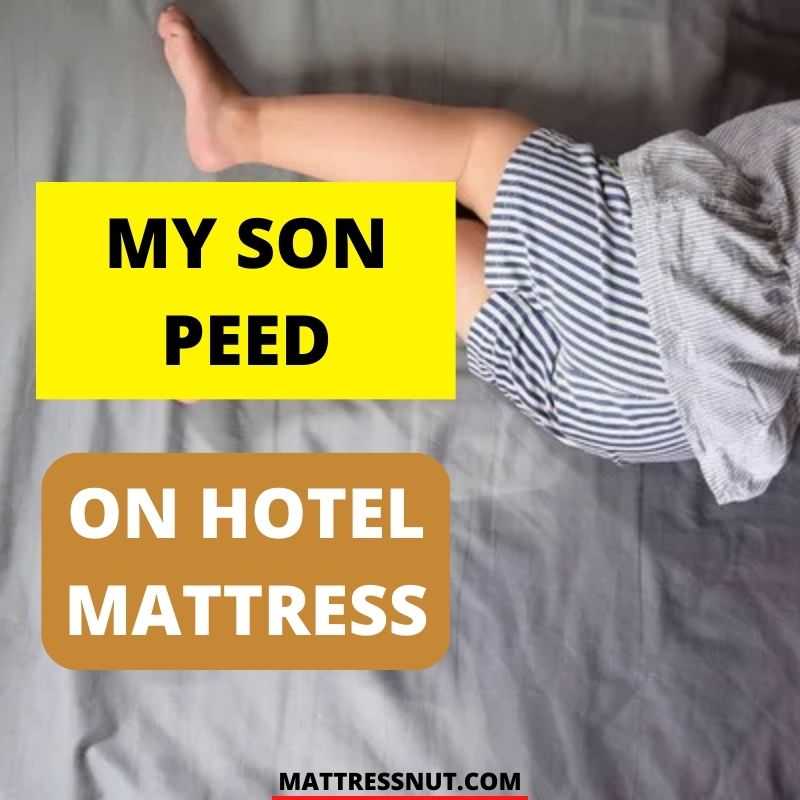 my son peed on hotel mattress