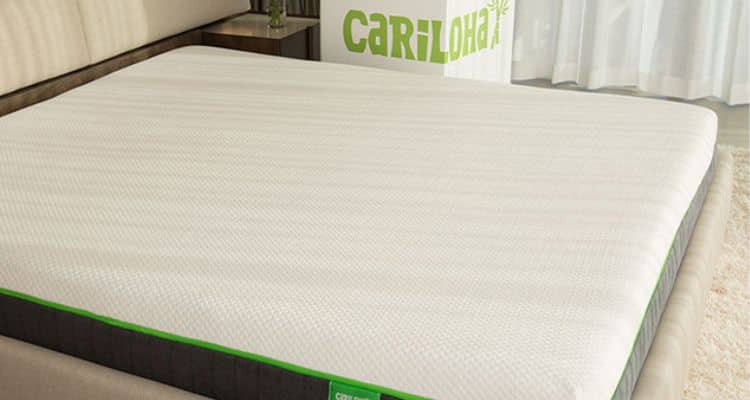 cariloha queen mattress dimensions