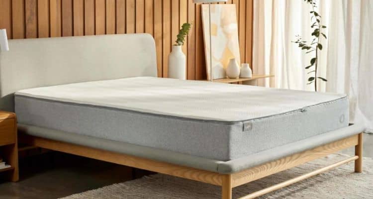 Koala Mattress Reviews