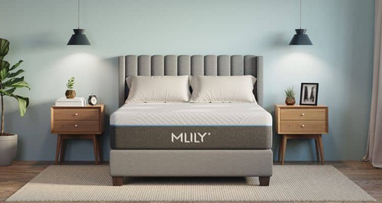Mlily Fusion Luxe Mattress Reviews