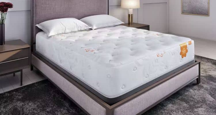 prana earth plush mattress
