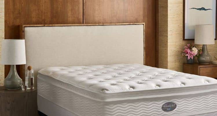 heavenly plush mattress reviews