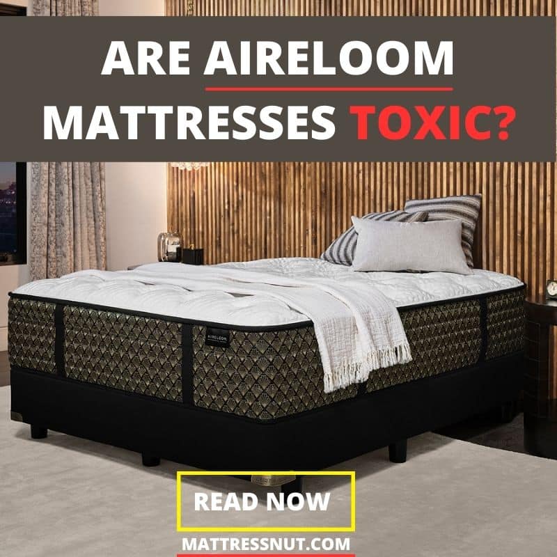 Are Aireloom Mattresses Toxic