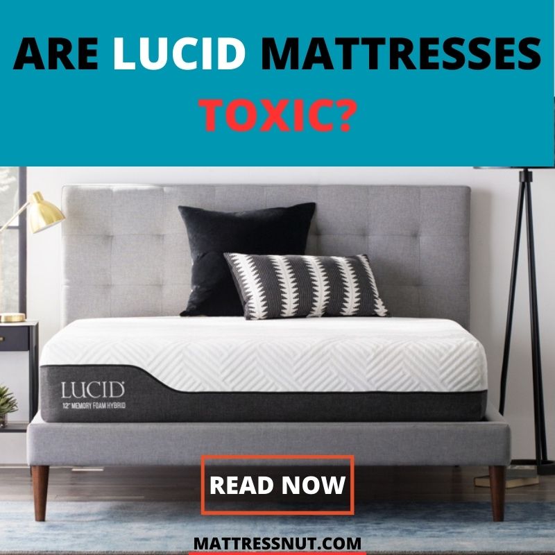 Are Lucid Mattresses Toxic