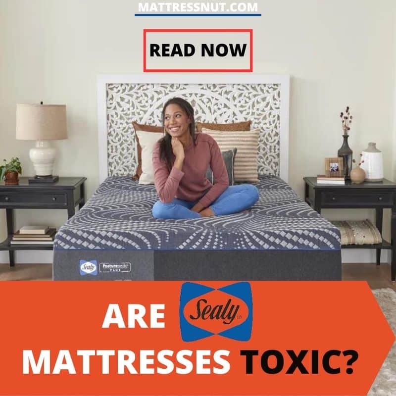 Are Sealy Mattresses Toxic