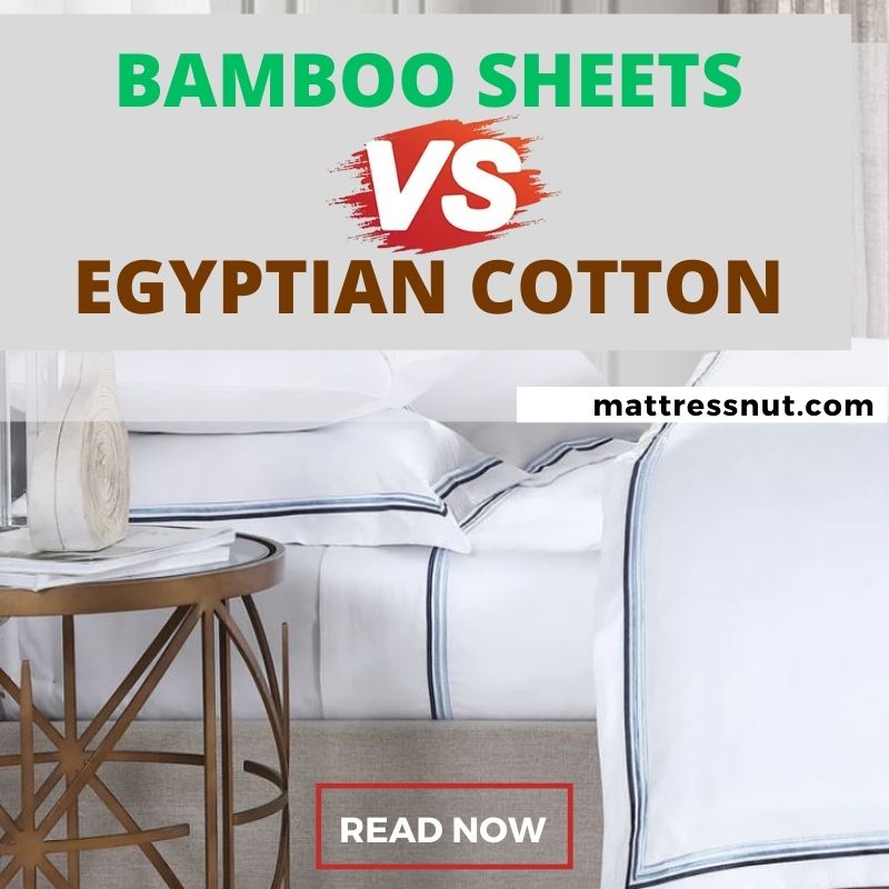 Bamboo Sheets vs Egyptian Cotton Comparison & Key Differences