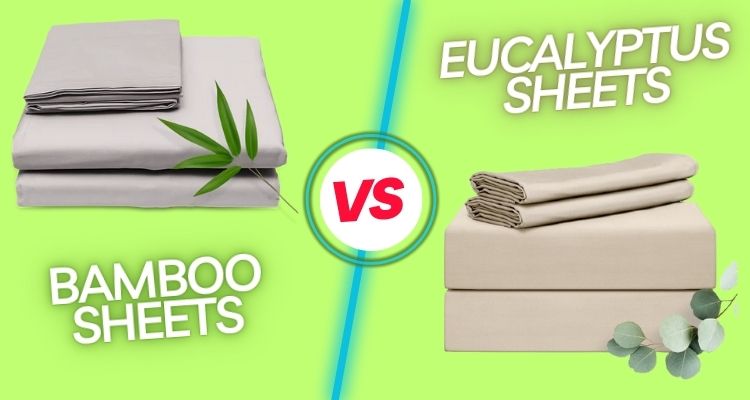 Bamboo vs Eucalyptus Sheets differences