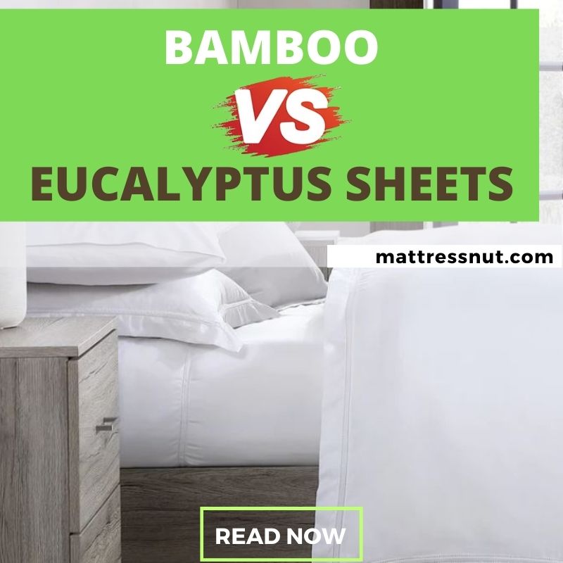 Bamboo vs Eucalyptus Sheets