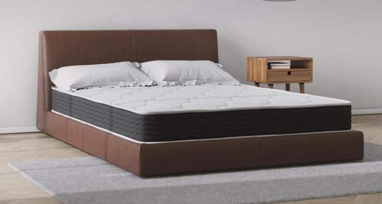 reviews of signature sleep mattress