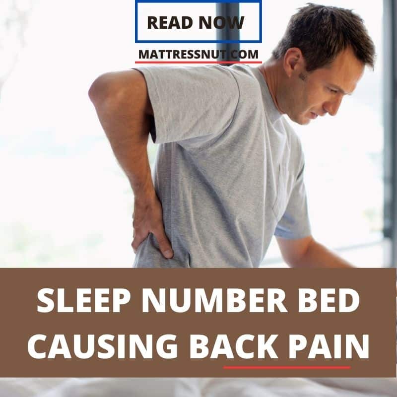 Sleep Number Bed Causing Back Pain