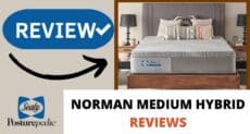 Sealy Norman Medium Hybrid Review 2023 - A Premium Option?