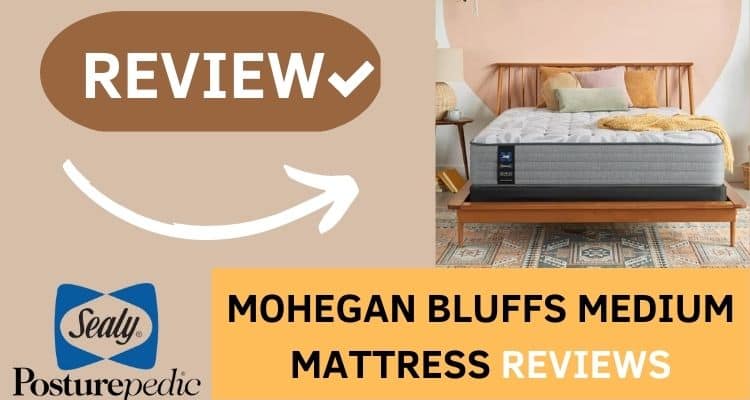 sealy mohegan bluffs medium mattress