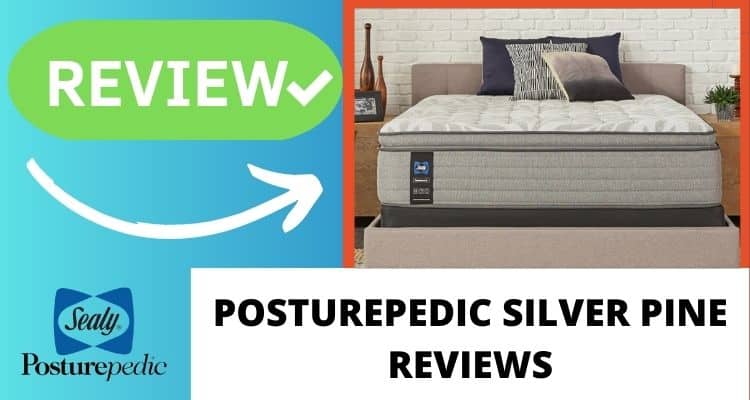 Sealy Posturepedic Silver Pine Reviews