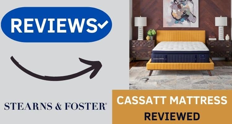 Stearns and Foster Cassatt Review